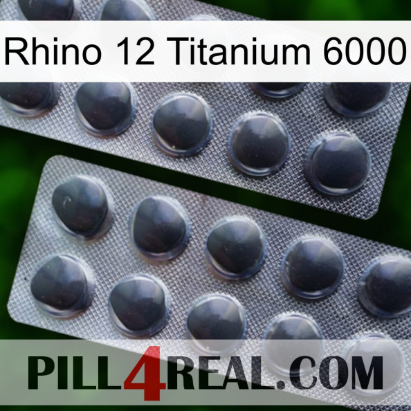 Rhino 12 Titanium 6000 31.jpg